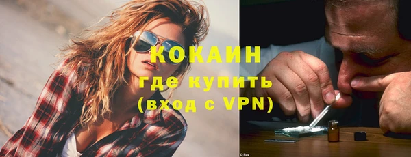 прущие грибы Верея
