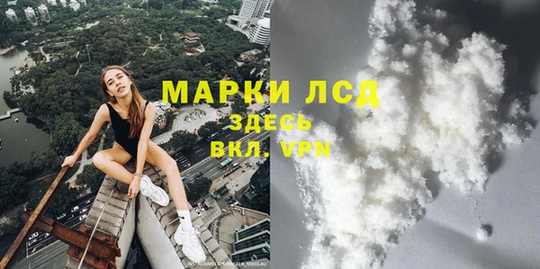 прущие грибы Верея