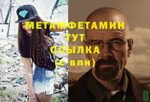 прущие грибы Верея