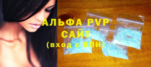 прущие грибы Верея