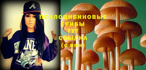 СК Бугульма